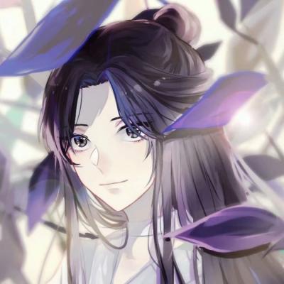 多位省委书记省长会见王传福
